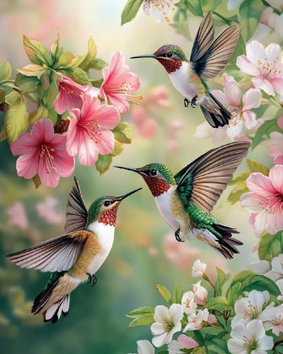 MBNTJHT DIY Hummingbird Paint by Numbers Kit for Adults Beginners,Unframed Bird and Flowers Paint by Number Kits on Canvas,Digital Watercolor Art Painting Kits Crafts for Home Wall Decor 16X20 Inch.