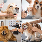 EPIKOIB Electric Dog Grooming Table for Large Dogs - Professional Heavy Duty Height Adjustable Home Indoor Pet Grooming Station with Grooming Arm, Anti Slip Tabletop & Tool Organizer, 50''/Black EPIKOIB