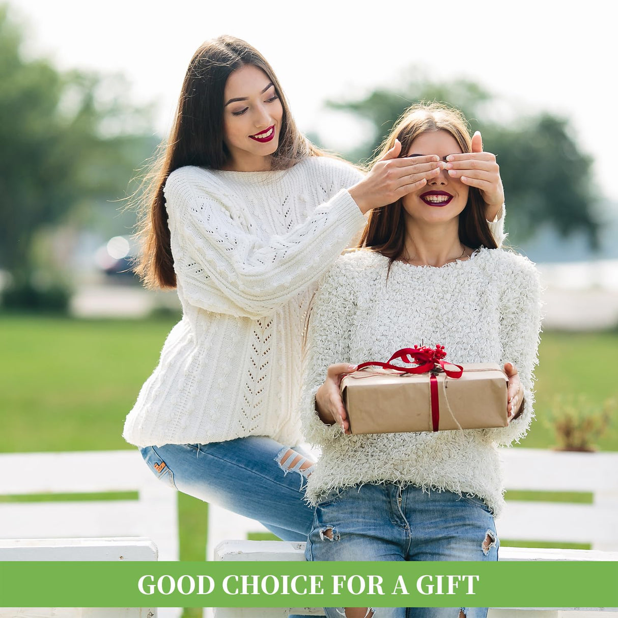 Encooldesty 2 pcs 8 inch Sublimation Wind Spinner Blank,Hanging Wind Spinners Sublimation Blanks,Aluminum Metal Wind Sculptures,Indoor Outdoor Garden Decoration Encooldesty