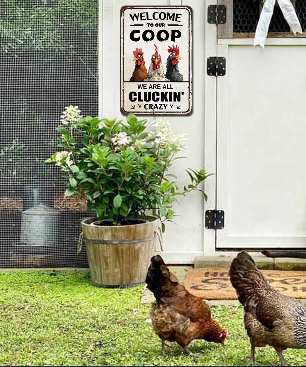 Chicken Coop Accessories Funny Chicken Signs Rooster Decorations Chicken Stuff For Farmhouse Farm Kicthen Decor Welcome To Our Coop 12x8 Inches Shannonsa
