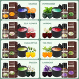 FAIRYELF Complete Candle Making Kit with Wax Melter, DIY Candle Craft Tools for Adults, Candle Art & Craft Kit Candle Making Supplies with Melting Pot, Soy Wax, Dyes Etc - Starter Candle Making Kit FAIRYELF