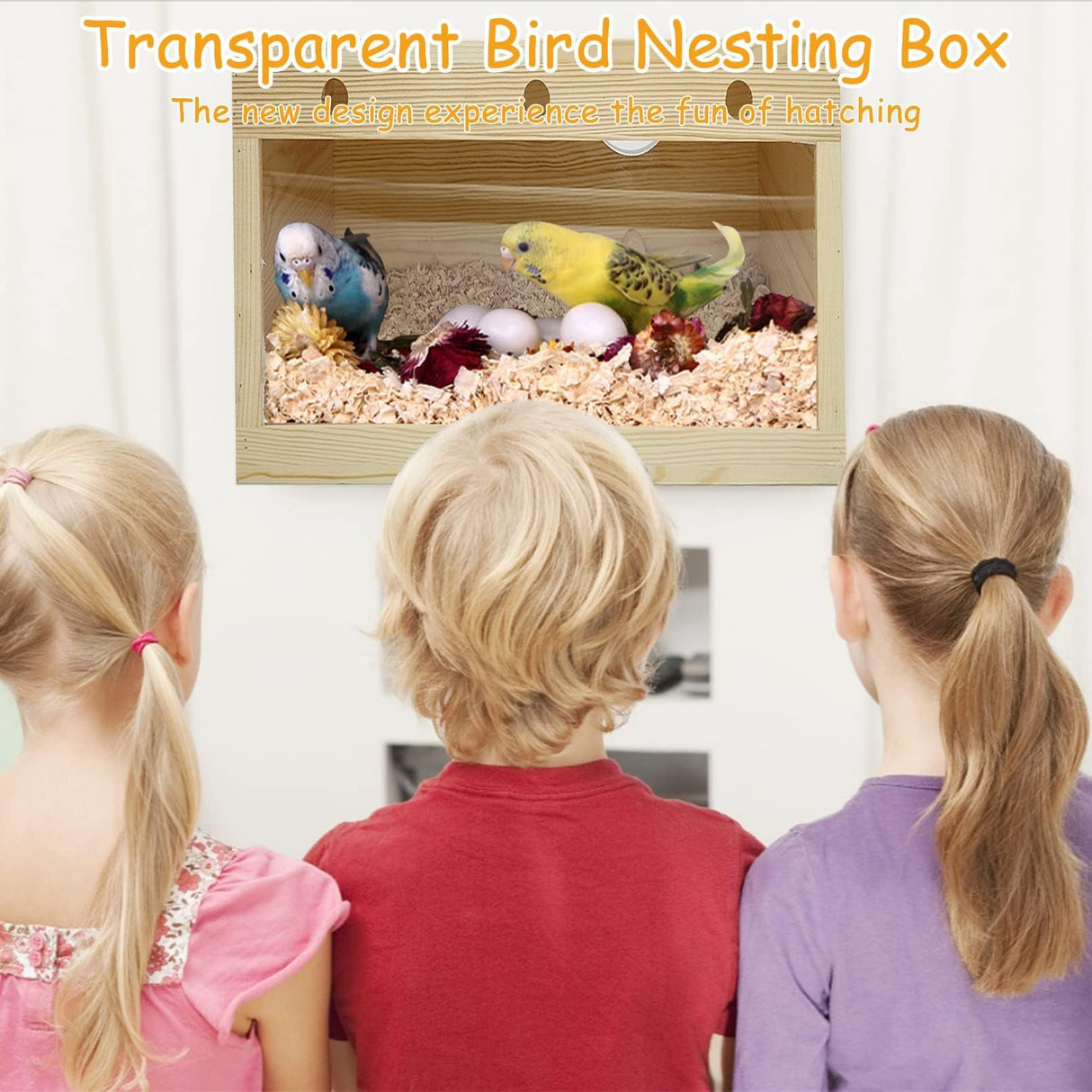 PINVNBY Large Natural Wood Parakeet Nesting Box Budgie Breeding Box Acrylic Bird Nest for Cage Transparent Panoramic for Birds, Parrots, Cockatiels, Lovebirds, Canaries (L: 13.3 x 7.8 x 7.08 inch) PINVNBY
