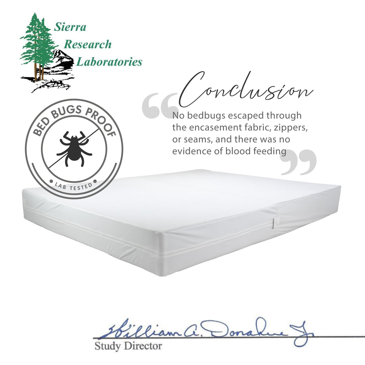 Queen Size Mattress Encasement Deep Pocket, Dustmite Protector, Cover 15-18 Inch, 3M Scotchgard Degrees of Comfort