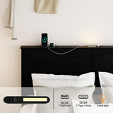 PAUKIN Queen Size Wooden Bed Frame with Headboard, Farmhouse Storage Bedframe with Sliding Barn Door Footboard and Charging Station Easy Assembly, No Box Spring Needed (Classic Black, Queen) PAUKIN