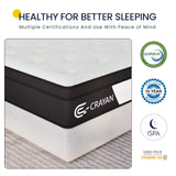 Crayan Queen Size Mattress, 12 Inch Hybrid Memory Foam Mattress in a Box, Pocket Springs Mattress with Motion Isolation and Pressure Relieving, CertiPUR-US, 100 Night Trial Crayan