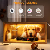 Jettiplex Dog Memorial Shadow Box - Pet Loss Gift with Paw Print Kit, Sympathy Keepsake for Rainbow Bridge, Display Case for Dog Urns(Special 10-inch) Jettiplex