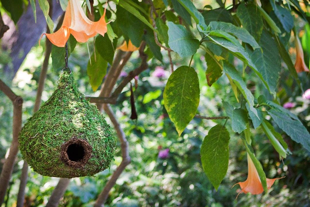 SuperMoss (56010) Raindrop Birdhouse with Chain, 10 by 13-Inch, Fresh Green SuperMoss