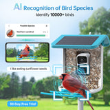 SMONET Bird Feeder with Camera B300: Smart Birdhouse Camera AI Recognition Solar Powered,Outdoor Wireless WiFi Birdfeeder Watching Live Video,Funny Birthday Gifts for Mom Mother Grandma Daughter SMONET