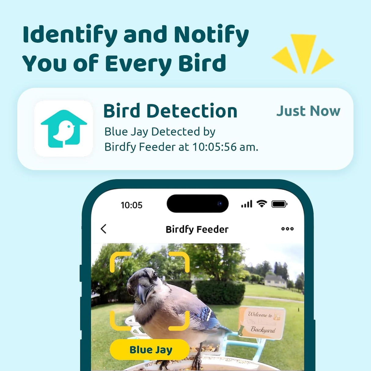 NETVUE by Birdfy Smart Feeder with Camera Solar Power, Smart Birdwatching Camera, Auto Capture Videos & Notify, Ideal Gift for Family NETVUE