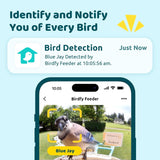 NETVUE by Birdfy Smart Feeder with Camera Solar Power, Smart Birdwatching Camera, Auto Capture Videos & Notify, Ideal Gift for Family NETVUE