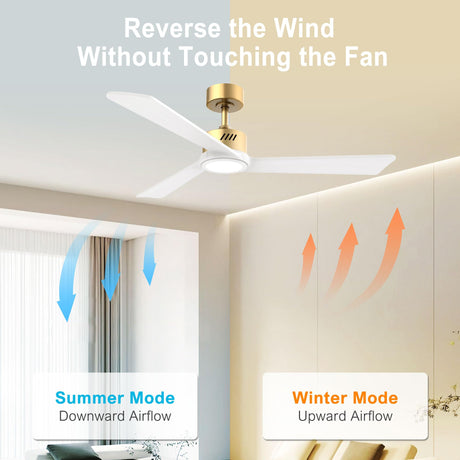 DAMINY Natural Solid Wood White and Gold 52 inch Ceiling Fan with Light,3 Blade Ceiling Fan with Light,6CCT,Low Profile Ceiling Fan with Light and Remote Control DAMINY