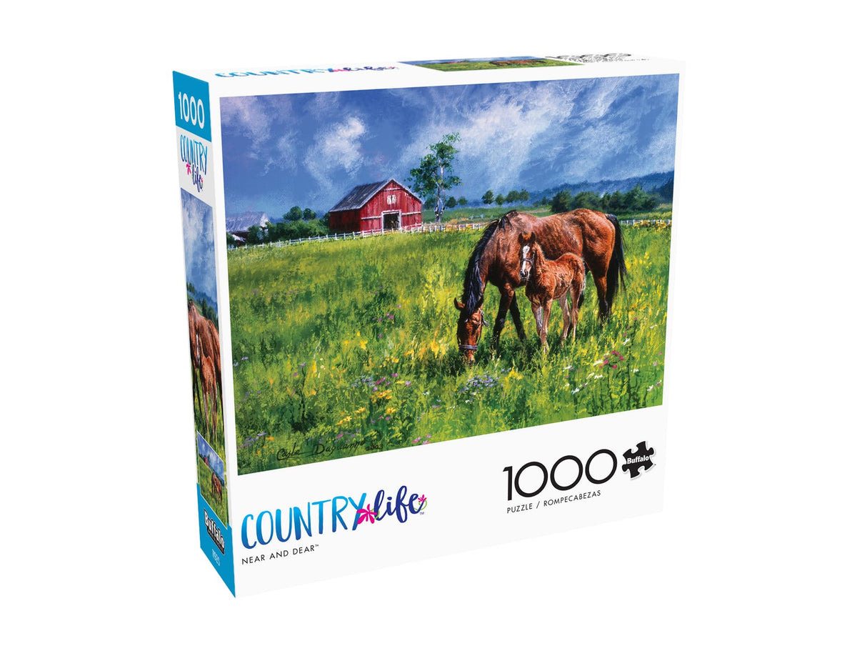 Buffalo Games - Carla D'aguanno - Near and Dear - 1000 Piece Jigsaw Puzzle for Adults -Challenging Puzzle Perfect for Game Nights - Finished Size is 26.75 x 19.75 Buffalo Games