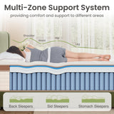 Queen Mattress 14 Inch - Superior Hybrid Mattress In a Box for Back & Lumbar Support, 100 Night Trial, Individual Pocket Spring Bed for Motion Isolation & Pressure Relief, CertiPUR-US Certified FP FLEXPEDIC