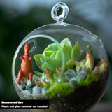 Cute Farms Terrarium Starter Kit | Moss, Vermiculite, Soil, Plant Food, Brush, Build and Care Guide | DIY Succulent Terrarium Kit for Adults and Kids Cute Farms