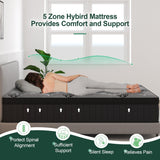 VISCOUNTESS Queen Mattress, 14 Inch Mattresses Euro Top Mattress Medium Firm for Back & Lumbar Support, Individual Pocket Spring Bed for Motion Isolation & Pressure Relief VISCOUNTESS