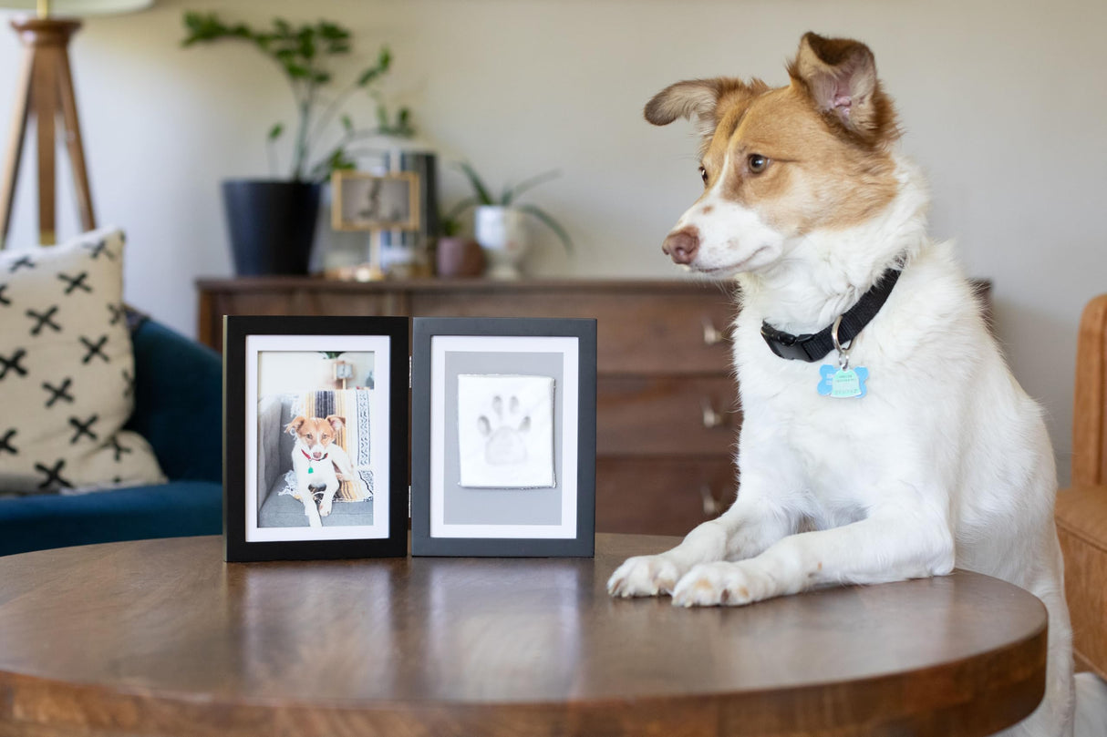 Pearhead Pet Paw Print Photo Frame With Clay Imprint Kit - Wooden Pet Paw Print Frame, DIY Memorial Keepsake for Cats and Dogs, No Mess Clay for Perfect Pawprints, Ideal Home Decor and Gift, Black Pearhead
