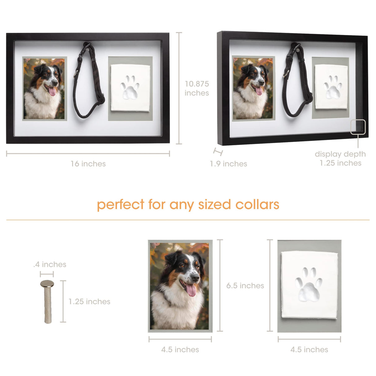 Pearhead Pawprints Collar Frame, Pet Keepsake Photo Frame, Clay Pawprint and Collar Frame, Pet Memorial Picture Frame Pearhead