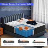 FAYAMORE Queen Mattress 10 Inch - Hybrid Mattress Queen Size in a Box with Pocket Spring and Soft Foam, Advanced Motion Isolation, 100 Nights Risk-Free Trial FAYAMORE