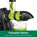 Slow Masticating Juicer,Brecious Cold Press Juicer with 2 Speed Modes & Quiet Motor,Juicer Machines Vegetable and Fruit with Reverse Function,Celery Juicer,BPA-Free,Easy to Clean (Black) BRECIOUS