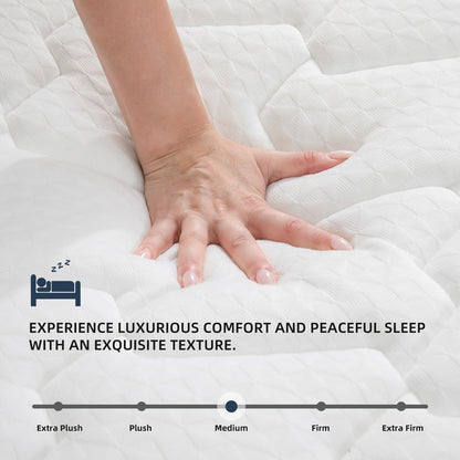 MOLBIUS King Size Mattress | 12 Inch Hybrid Mattresses King in a Box | Medium Firm Memory Foam and Individual Pocket Springs | Fiberglass Free Bed Matress | Breathable | CertiPUR-US