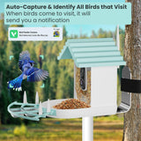 Smart Bird Feeder with Camera - Night Vision 1.5L Bird Feeder Camera with Solar Power -AI 1080p HD Identify 10000+ Birds Species Wifi 2.4 GHz Auto Capture Bird and IOS/Andriod Supported KimLamPro