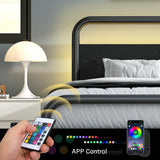 Catrimown Full Size Metal LED Bed Frame with Headboard - Heavy Duty Platform Design, Noise-Free & Easy Assembly Catrimown