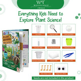 STEM Plant Growing Kit for Kids Ages 8–12 | 19 Hands-On Science Experiments | Learn Transpiration, Hydroponics & More | Grow with Seeds from Your Kitchen | Perfect for School & Home Projects Wellegance Twigs