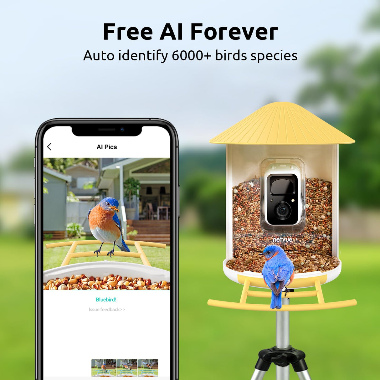 NETVUE Birdfy AI - Smart Bird Feeder with Camera with Solar Panel, Free AI Forever, Auto Capture & Identify 6000+ Bird Species, Bird Videos for NETVUE