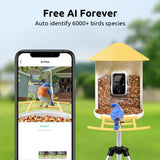 NETVUE Birdfy AI - Smart Bird Feeder with Camera with Solar Panel, Free AI Forever, Auto Capture & Identify 6000+ Bird Species, Bird Videos for NETVUE