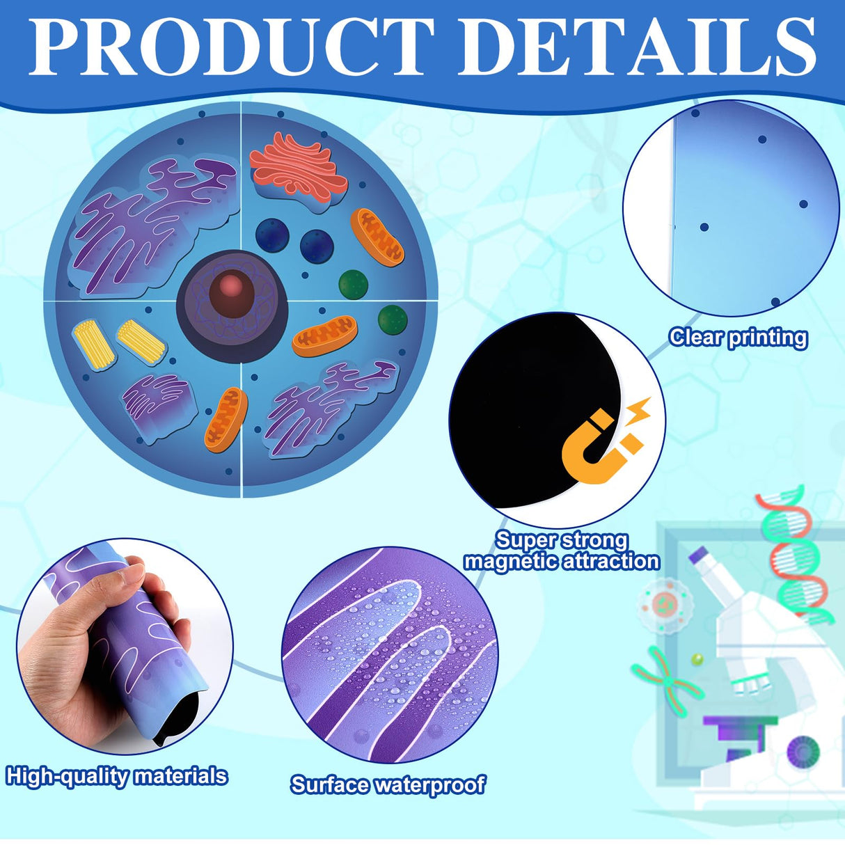 VercanMonth 2 Set Magnetic Animal and Plant Cell Anatomy Model Clearly Labeled Animal Cell Model Educational Science Kits for Biology Anatomy and Science Projects Classroom Learning Teaching Aid VercanMonth
