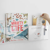 ROYALITA 2-Pack Acrylic Magazine Holder Brochure Holder, 17" Record Holder Magazine Rack, Fashion Hanging Bookshelf Literature Storage Rack for Waiting Room, Living Room, Office, Clear 17 Inch ROYALITA