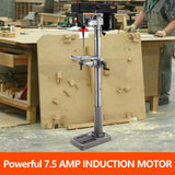 13 in Floor Drill Press, 7.5 Amp 120V, 288-3084 RPM Variable Speed Cast Iron Bench Drill Press, 0-45° Tilting Worktable, Tabletop Drilling Machine for Wood Metal PioneerWorks