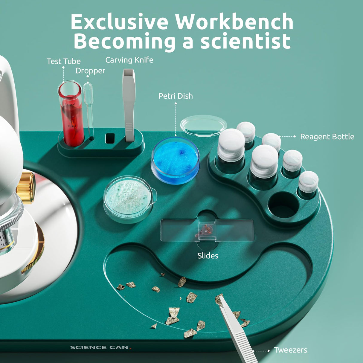 Science Can Microscope for Kids, 1600X Magnification LED Student Microscope with 8 Prepared Slides, Educational Science Lab Toy Great Birthday Gifts, Science Kits for Kids Ages 8-12 Science Can