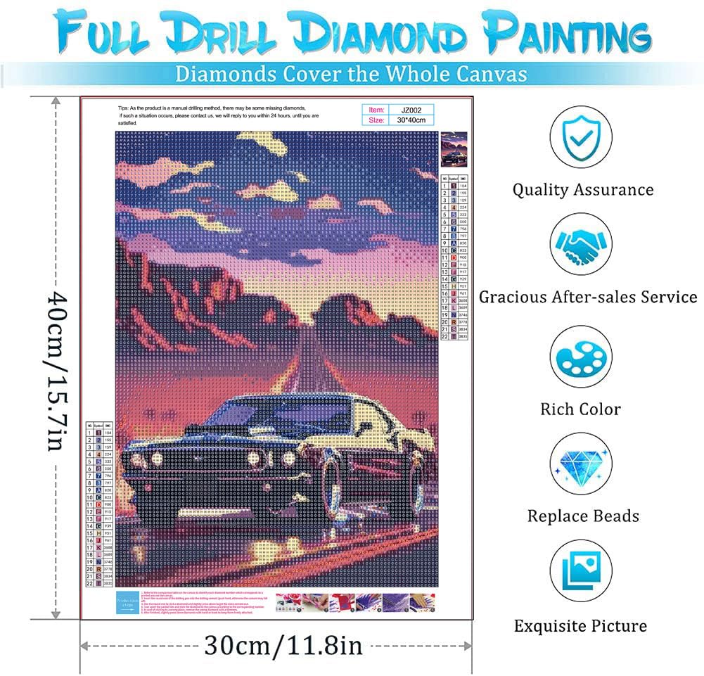 Euibziy Diaomnd Painting Kits for Adults DIY 5D Round Full Drill Car Diamond Art Adult Diamond Painting Very Suitable for Home Leisure and Wall Decoration 11.8x15.7inch Euibziy
