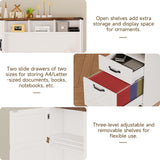 Farmhouse Executive Desk 51" Computer Desk with 2 Drawers Storage Cabinet and RGB LED Lights Power Outlets, Wood Home Office Desk with Hutch and Monitor Stand for Work Study Writing Halitaa