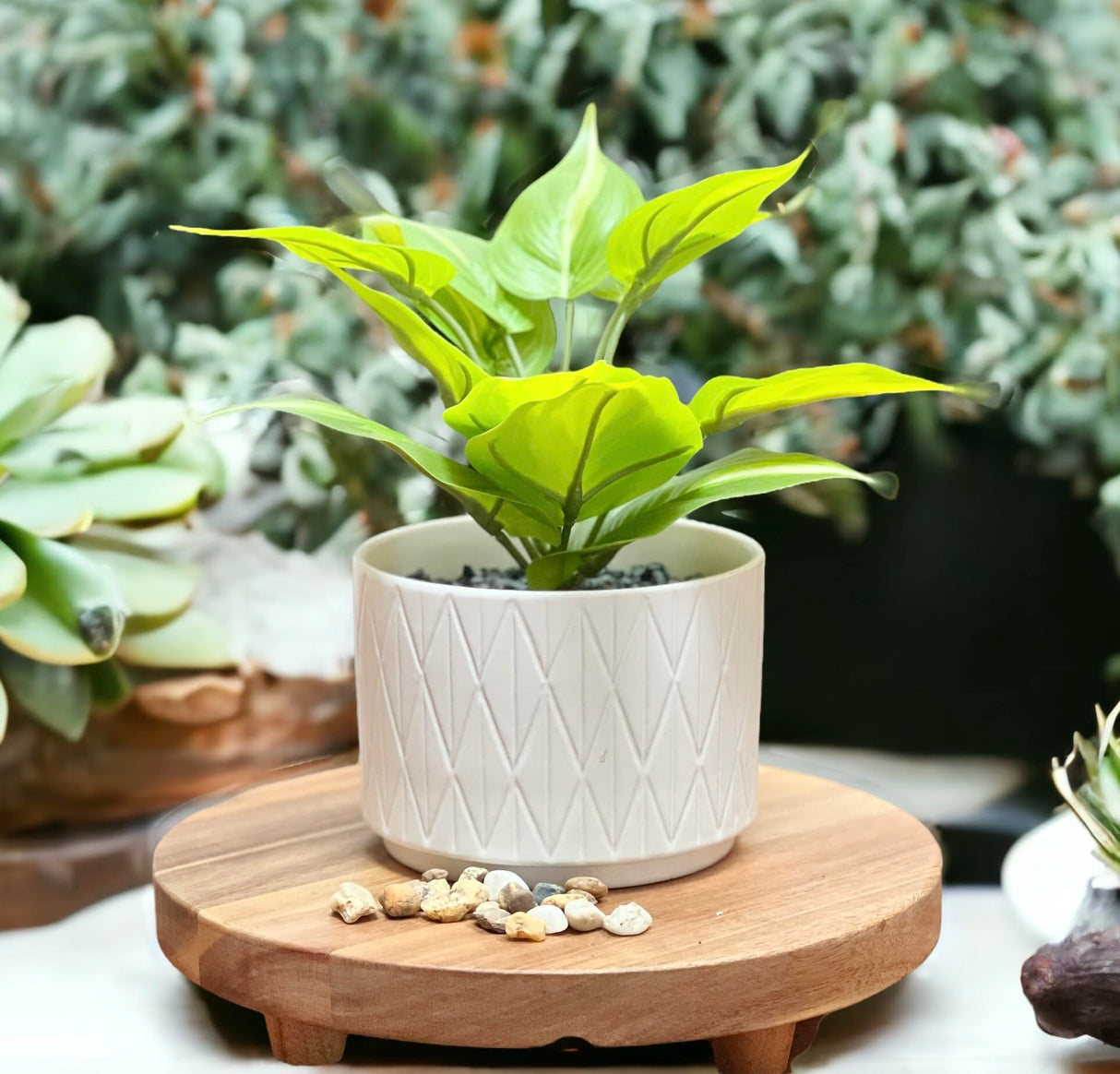 Kurrajong Farmhouse 9" wood pedestal stand | round pedestal riser board | acacia wood riser | acacia pedestal board | round pedestal riser | kitchen display stand | plant holder Kurrajong Farmhouse