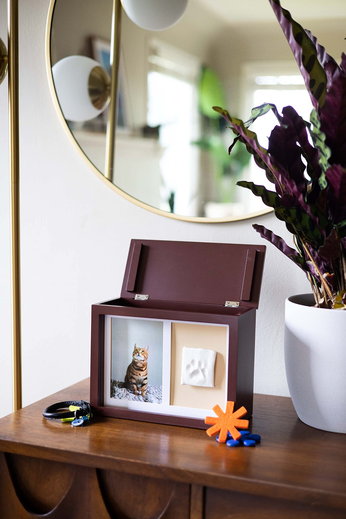 Pearhead Pet Photo Memory Box and Impression Kit for Dog or Cat Paw Print, Clay Paw Print Urn, Pet Memorial, Espresso Pearhead