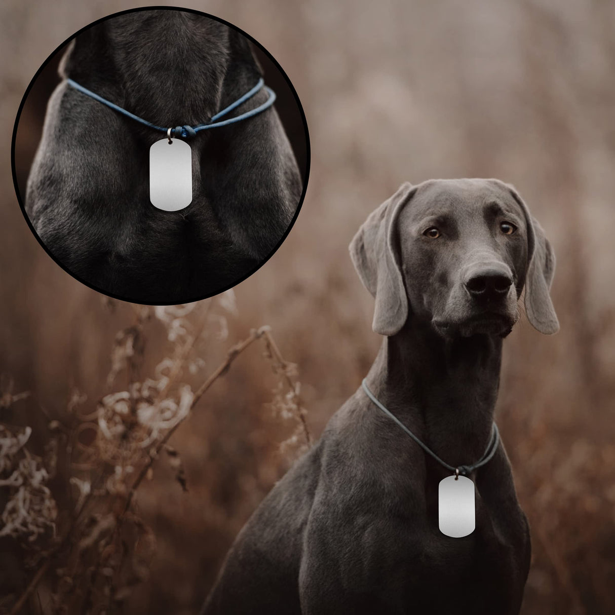 INKNOTE 30 PCS 2"x1" Stamping Blank Dog Metal Tags Stamping Aluminum Tag Pendants Shield Shape with 30 PCS Chain Necklaces, Hip Hop Style Pet Dog Name Number Tags Personalized Pendant DIY Craft Tags INKNOTE