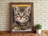 Diamond Art Cat Diamond Art Painting Kit for Adults Tabby Cat for Home Wall Decor,12"×16" Apomelo