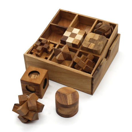 BSIRI 9 Puzzles in a Box - Wooden Brain Teaser Puzzles, 3D Puzzles for Adults, Educational Kids Games, Mind Puzzles for Adults and Brain Games for Kids, Ideal for Birthday Gifts and Patio Decor BSIRI