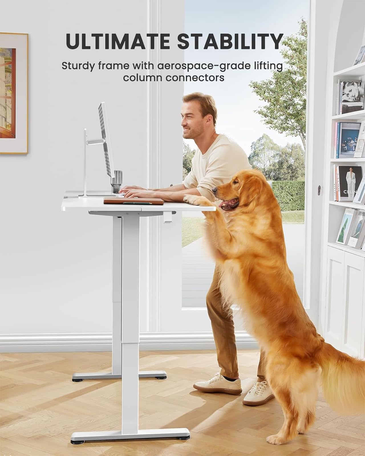 ErGear Height Adjustable Electric Standing Desk, 48 x 24 Inches Sit Stand up Desk, Memory Computer Home Office Desk (White) - WoodArtSupply