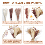 Total 104 pcs /11 Various Dried Pampas Grass Décor, White Pompous Grass, Bunny Tails Dried Flowers Reed Grass, 17 inch Pompass Grass for Flower Arrangements Boho Wedding Home Décor (Ivory White) Glamativity
