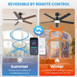 DSNAPE 52 Inch Black Ceiling fan with Lights, Ceiling Fan with Lights and Remote/APP Control, Reversible, Dimmable, 3CCT, Quite Ceiling fan for Living Room, Bedroom, Indoor Outdoor Use DSNAPE