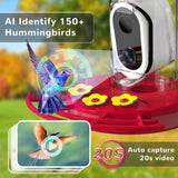 Smart Hummingbird Feeder with Camera, Outdoors Bird Feeder Camera Solar Powered, AI Identify Bird Species and Cloud Storage, HD Auto Capture Bird TT Nature