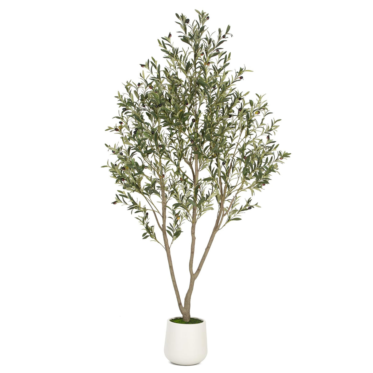 VIVATREES Olive Trees Artificial Indoor, 7FT Tall Faux Olive Tree with White Tall Planter, Artificial Plants with Natural Wood Trunk and Lifelike Fruits for Home Office Decor VIVATREES