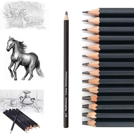 Heshengping Drawing Sketch Pencil Set 14pcs Sketching Pencils 12B 10B 8B 7B 6B 5B 4B 3B 2B B HB 2H 4H 6H Graphite Pencils for Kid Adults Artists Student Beginners Professional Heshengping