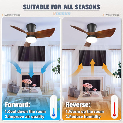 VOLISUN 30in Small Ceiling Fans with Lights, Flush Mount Ceiling Fan with Light and Remote, 3CCT Dimmable Low Profile Ceiling Fan with Light, LED Ceiling Fan with Light for Bedroom, Living Ro - WoodArtSupply