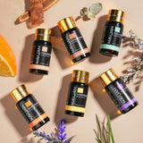 MAYJAM Tea Tree 20 Pcs Pure Essential Oil Gift Set, for Diffuser, Humidifiers, Skin Care, Massage, Fragrance Oil Scent for DIY Candle and Soap Making, Gift for Friend (5ML) MAYJAM