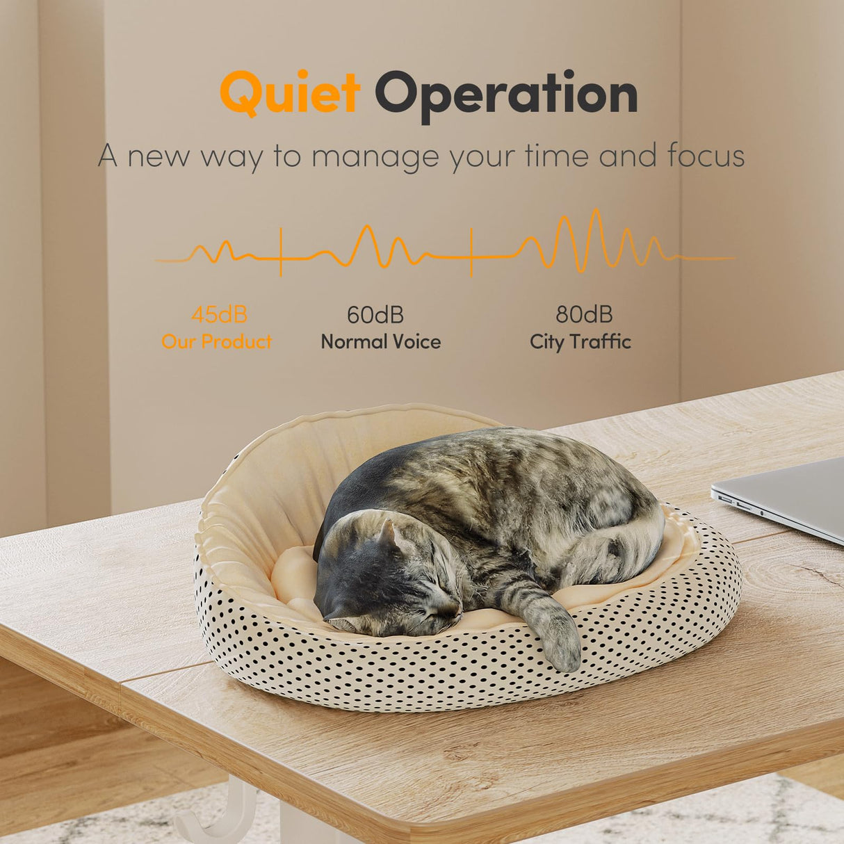 Cubiker Standing Desk, Stand up Height Adjustable Home Office Electric Desk, 55 x 24 Inch Sit Stand Desk with Splice Board, Maple Desktop Cubiker