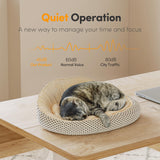 Cubiker Standing Desk, Stand up Height Adjustable Home Office Electric Desk, 55 x 24 Inch Sit Stand Desk with Splice Board, Maple Desktop Cubiker